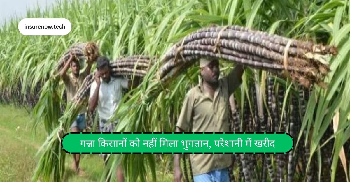 Sugarcane News